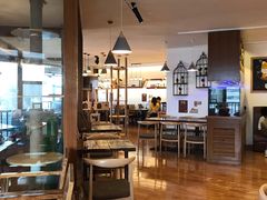 -喵园·猫主题咖啡厅·撸猫·猫咖(国贸店)