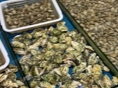 -陶然饺子城(奥体中路店)