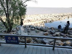 -上海吴淞炮台湾国家湿地公园