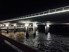 -演武大桥观景平台