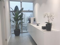 -芙芬芳·半永久纹眉（深圳旗舰店）