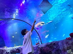 -沈阳海洋探索中心