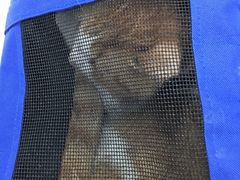 -纳吉亚猫专科动物诊疗中心(蒋宅口分院)
