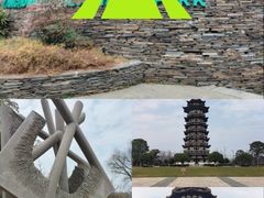-洋湖国家湿地公园