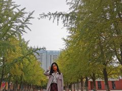 -辽宁大学(崇山校区)