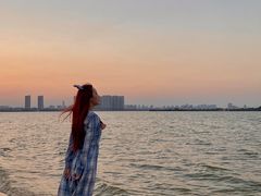 -瑶湖郊野森林公园