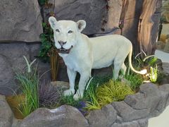 -西霞口神雕山野生动物世界