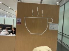 -麦当劳(北京大兴机场二层国内到达(安检外)店)