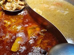 菌汤拼麻辣鸳鸯锅底-呷哺呷哺 黄金牧场 (大港油田幸福广场店)