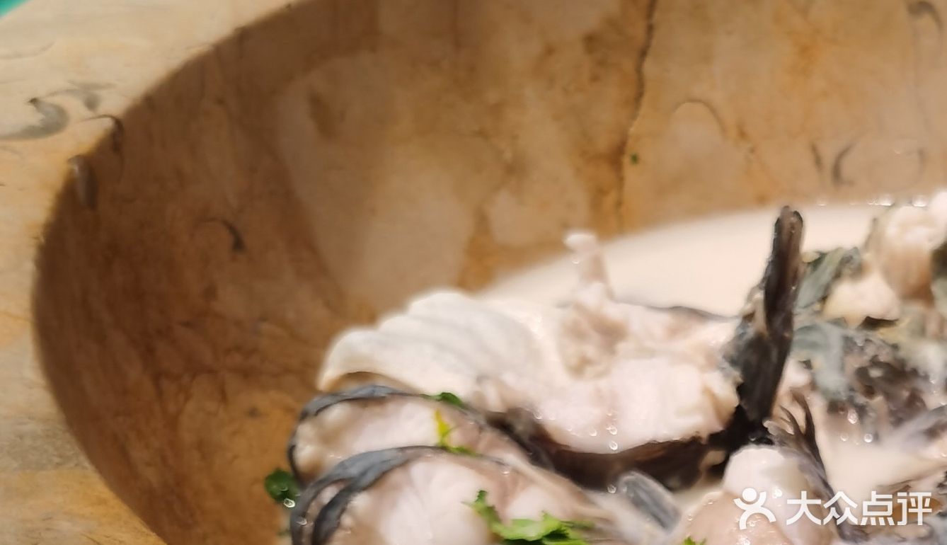 爱吃鱼人的福利～超鲜美的现杀清江鱼～老福耶小草帽石锅鱼