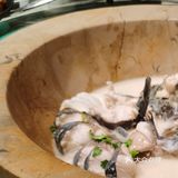 爱吃鱼人的福利～超鲜美的现杀清江鱼～老福耶小草帽石锅鱼