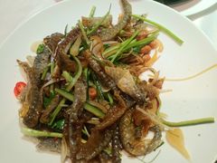 -广东道至正餐厅(区庄店)