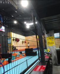 -蹦贝运动中心·蹦床·攀岩·闯关(龙岗店)