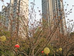 -昆山城市公园