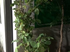 -家烧面馆【南山路知名经典面食】