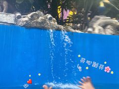 -厦门方特水上乐园