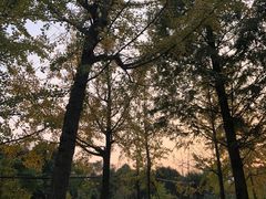 -东钱湖旅游度假区