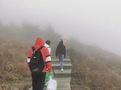 -白草畔自然风景区