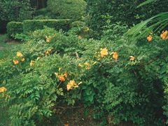 -西郊宾馆·1921餐厅