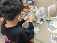 -艾贝尔宠物医院·狂犬免疫点(江山金象城店)