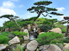 -罗红摄影艺术馆