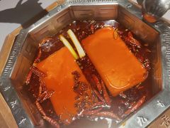 -蜀九香火锅(九眼桥店)