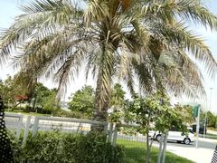 -法拉利主题公园