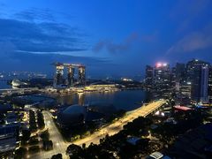 -新加坡瑞士史丹福酒店