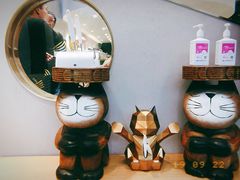 -飞行喵MR PILOT|猫舍·猫咖(静安大融城店)