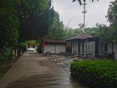 -白马涧龙池景区