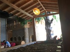 -汤森悠生活文化汤(江宁万达店)