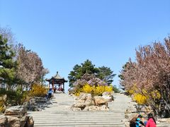 -大兴滨河森林公园