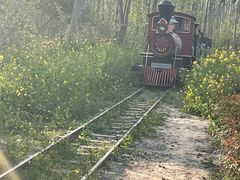 -合肥滨湖国家森林公园