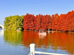 -上海海湾国家森林公园