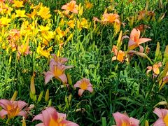 -国家植物园南园