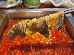 -二荆条·蜀鲜汇城市森林火锅