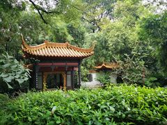 -广州兰圃