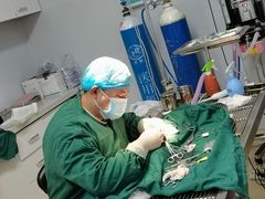 -瑞派雷欧宠物医院·中兽医·眼科·急重症转诊中心(黄台店)