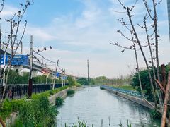 -美兰湖景区