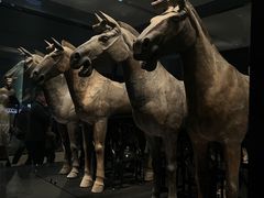-秦始皇帝陵博物院-丽山园