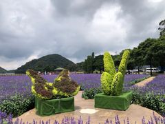 -广州市石门国家森林公园
