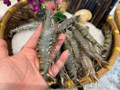-蓝珊甄选海鲜自助·火锅大排档(近阿那亚店)