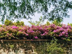 -武当山风景区