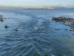 -深圳湾公园(南山区)