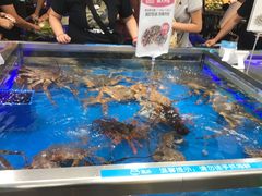-盒马鲜生(大成店)