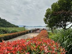 -东钱湖旅游度假区