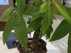 -苏宁易购(上海沪太路二店)