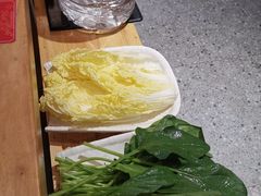 白菜-东镇老火锅(长春路首店)