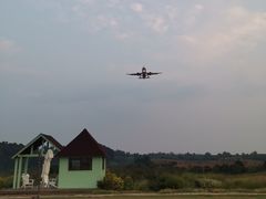 -空港花田景区