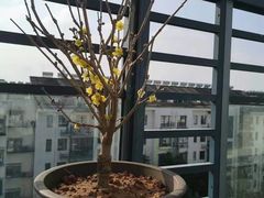 -徽三说·土徽菜·中国徽菜连锁品牌(阳湖总店)